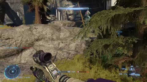Bean Stream Halo Infinite