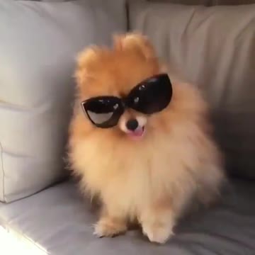 Do I look like handsome now