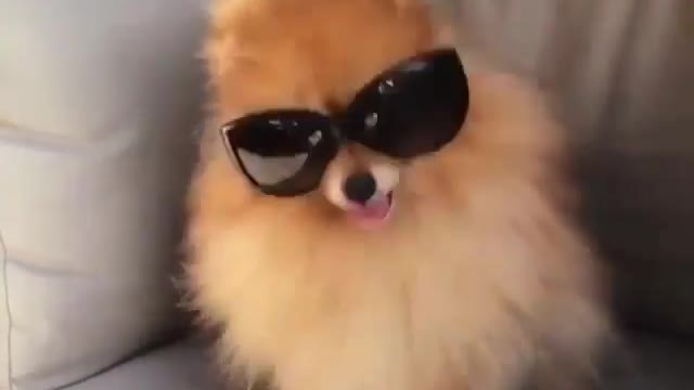 Do I look like handsome now