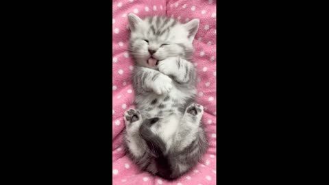 Good morning! Wake up!
