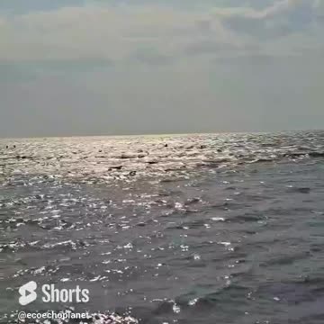 🧘🏽‍♀️🪷Transform Your Mood with Sea View! Vol 187