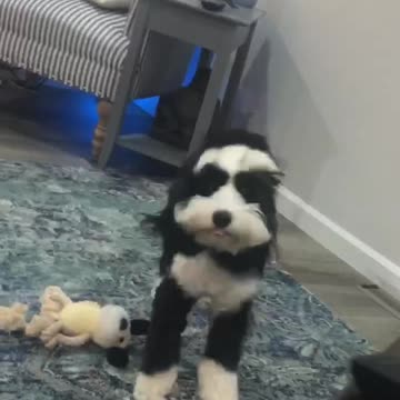 Jemma’s Gotta Move