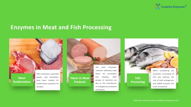 Enzymes in Food Industry