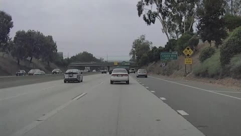 Sudden Swerve And Stop Causes Chain Reaction Wreck