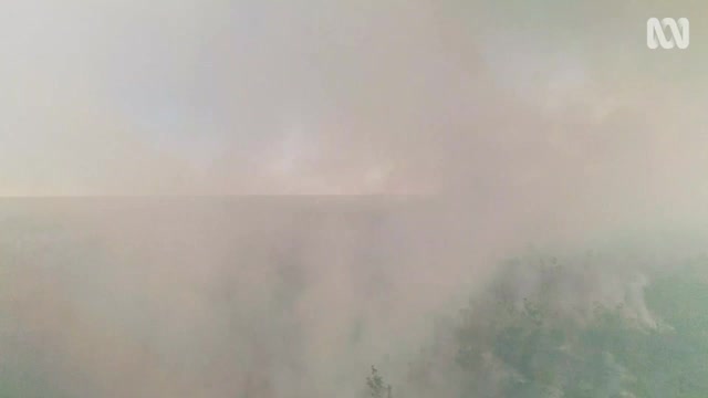 A tough crew muster feral cattle in outback Australia - Outback Ringer.mp4