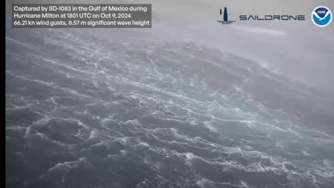 Gigantic 28-foot wave is spotted near eye of Milton before hurricane sucked water out of Tampa Bay