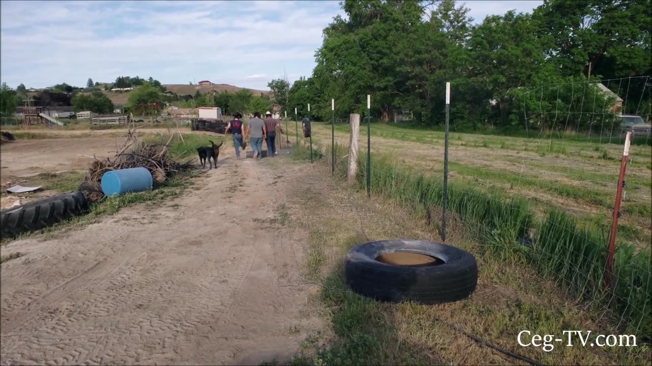 Graham Family Farm: Unrolling Field Fence