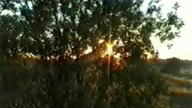 Last-Studio, Video-N.9 (2001)