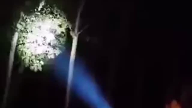 Amazing daylight flashlight