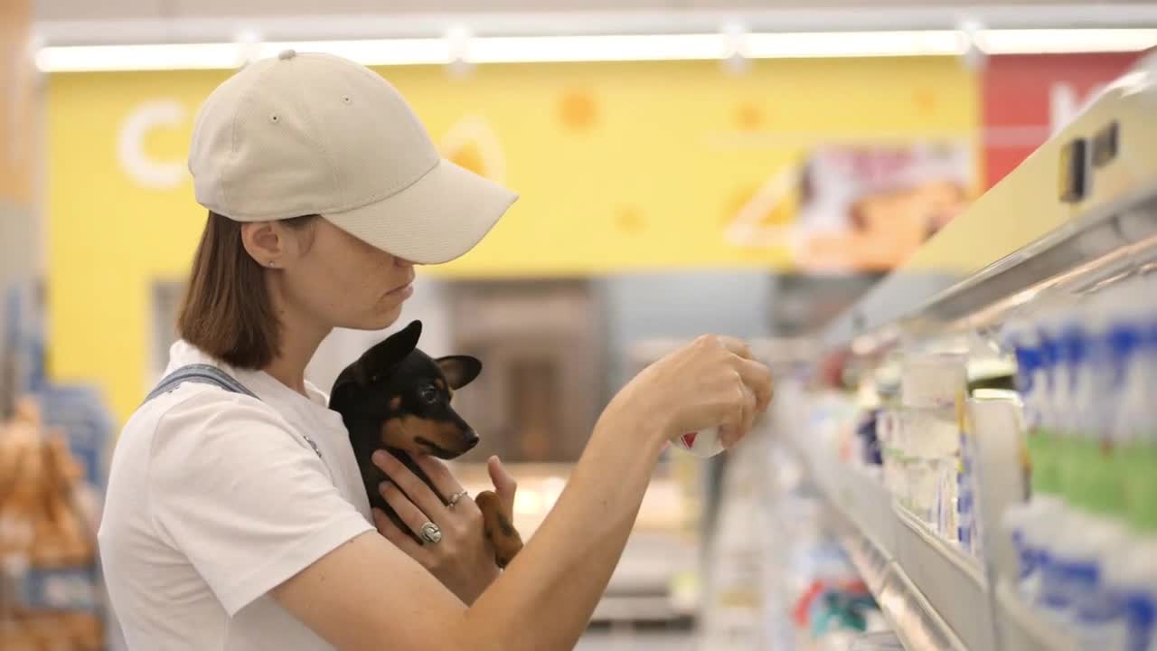 She is choosing yogurt with little toy terrier dog in her hands in the diary department