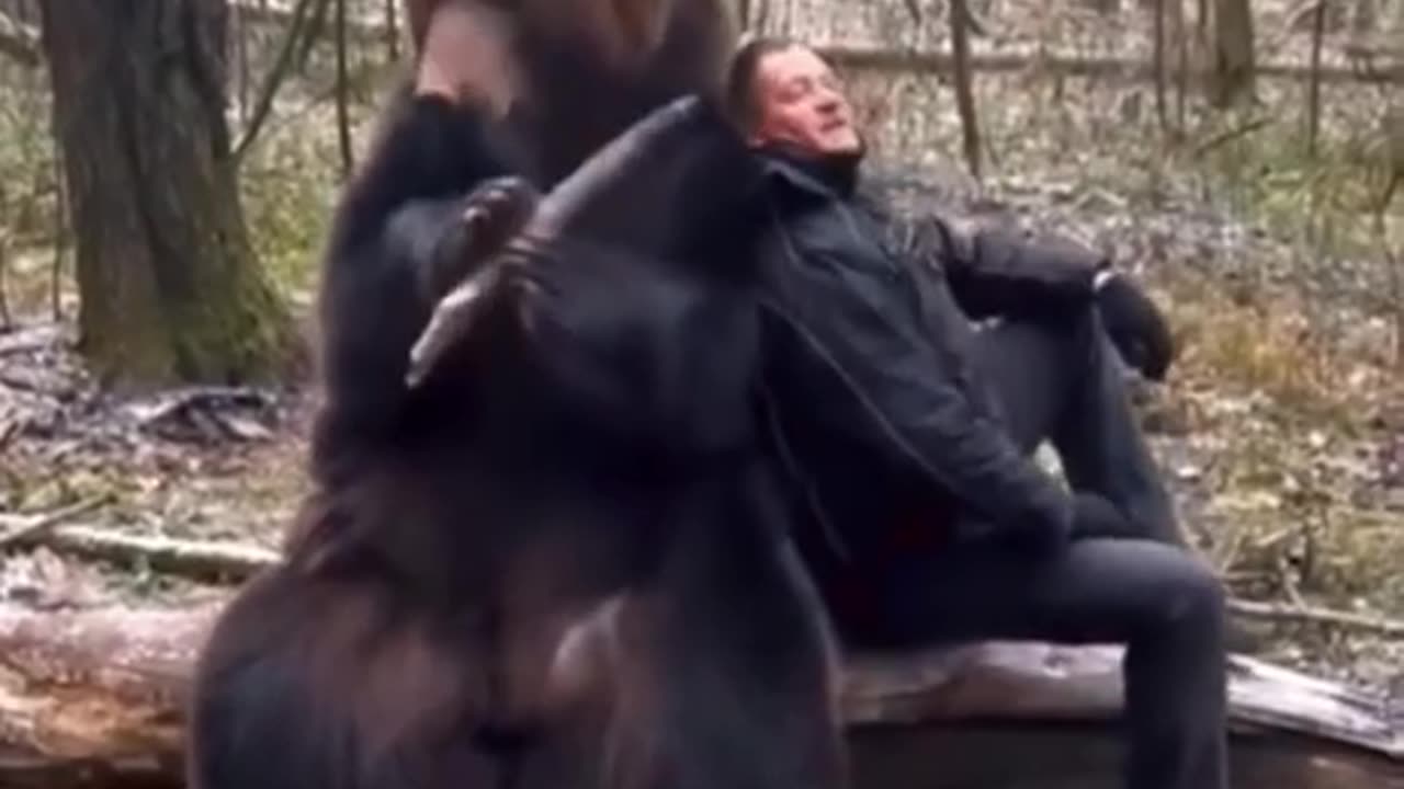 You can be friends with BEARS