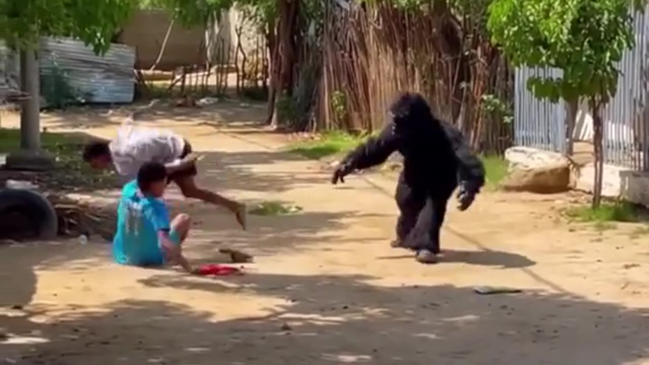 16_ape🦍🦍 #prank #pranks #troll #trolls #prankvideo #funny #funnyvideos #london #cambridge #fypシ