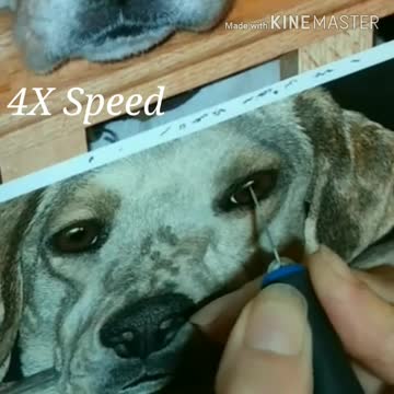 Hanna - Harrier (Hound) Portrait, WIP 3