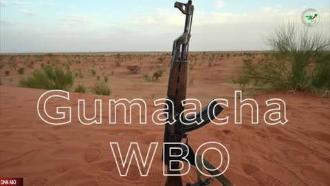 Oduu Gumaacha ONM-ABO Onkololessa 2-2024 itti dhiyaadhaa!