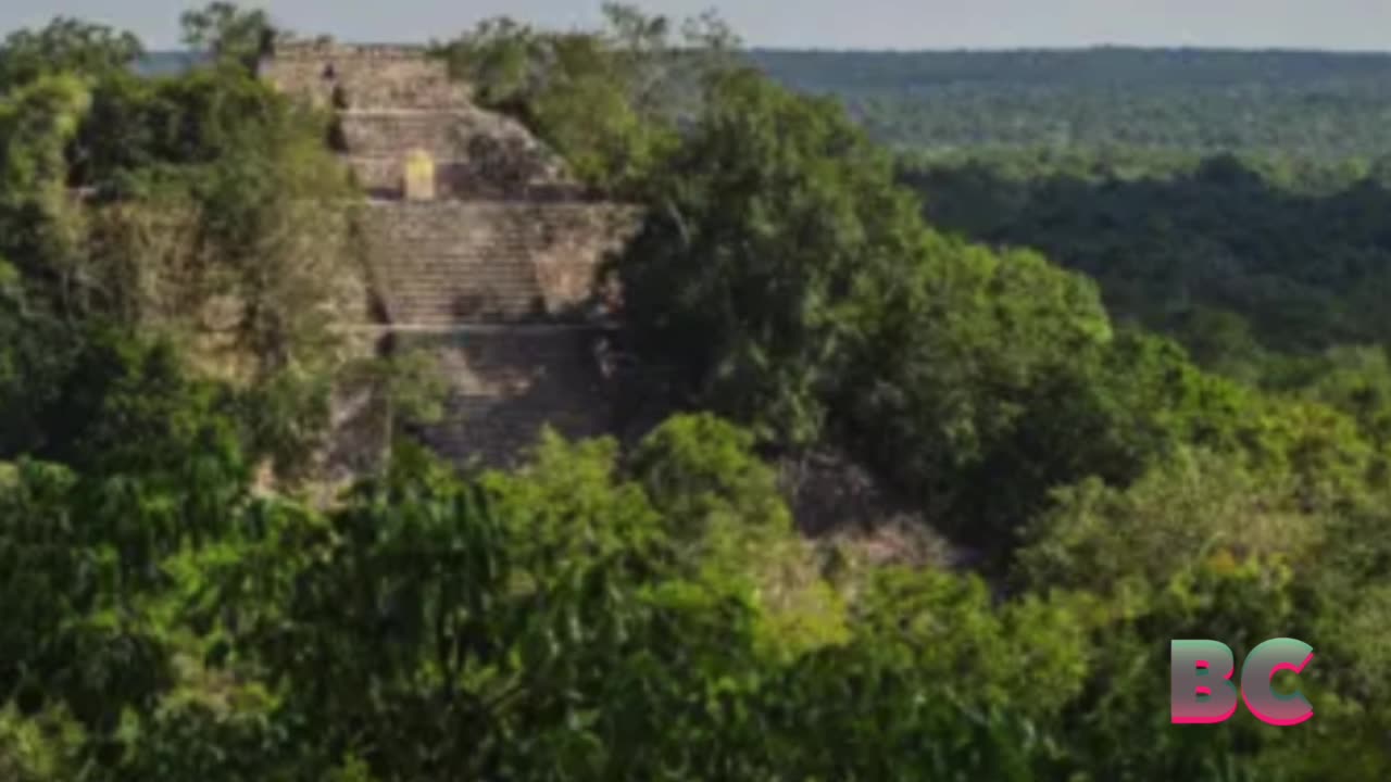 Ancient Mayan city is found in a Mexican jungle