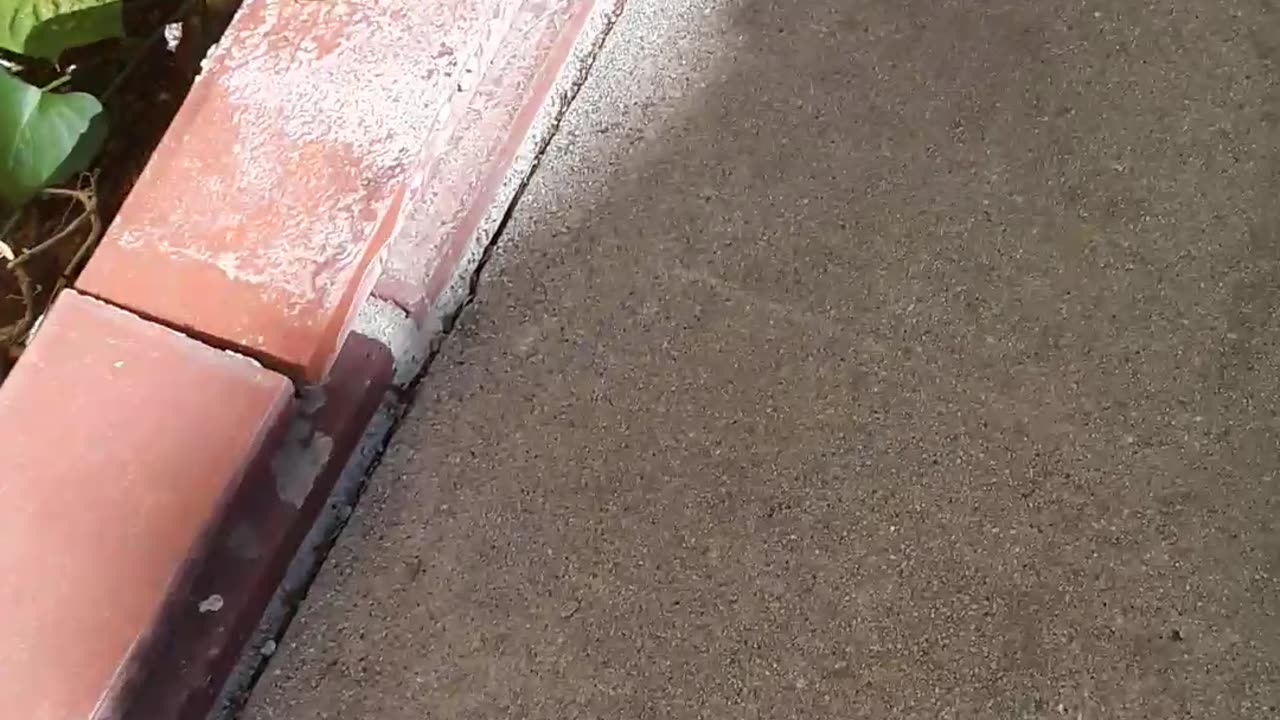 PUMPKIN ARMY!!!!!!!!!! Part 2