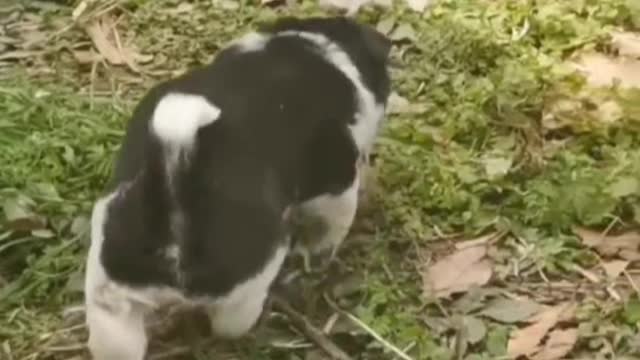 I didn't give her a home. I needed her