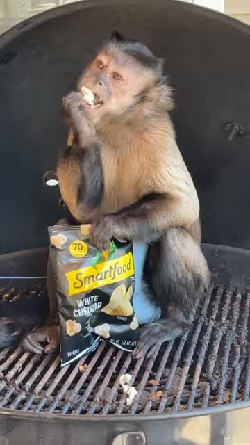 Back porch sitting and popcorn snacking
