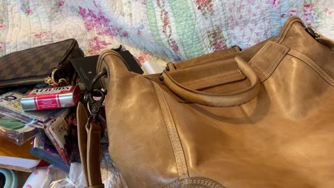 What's in my Frye Riviana Leather Tote Bag & Update on Lucy