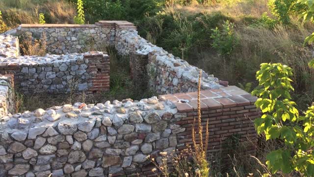 Miroljub Petrović - Izolacija- Nervi
