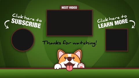 Frisky Yorkie loves to play before bed time #shorts
