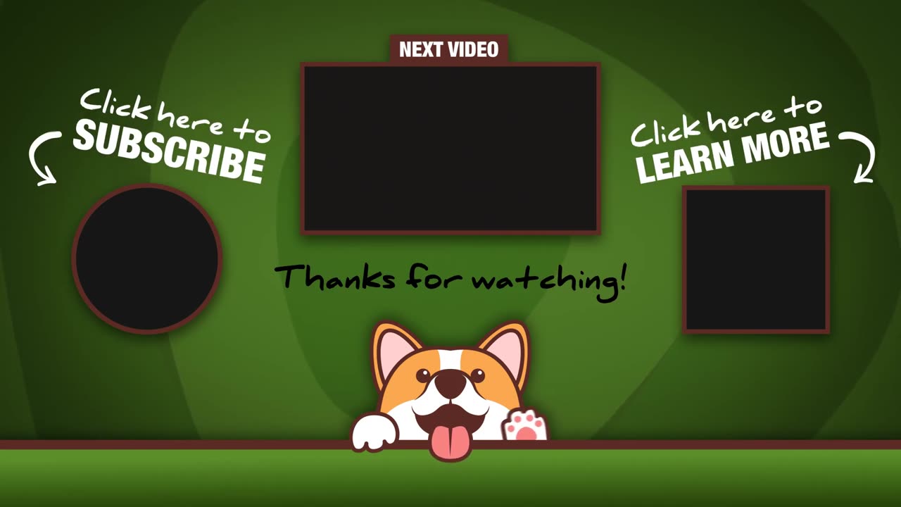 Frisky Yorkie loves to play before bed time #shorts