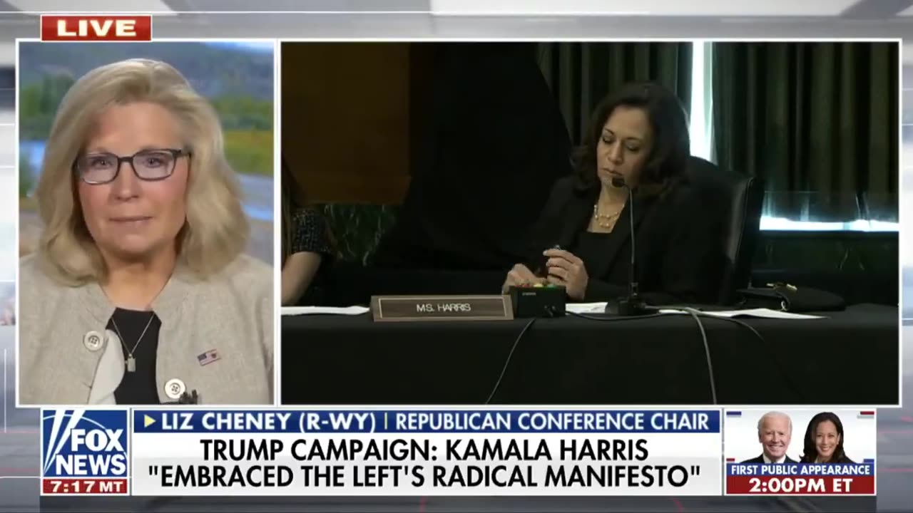 Flashback to When Liz Cheney Slammed Kamala Harris for Being Radical