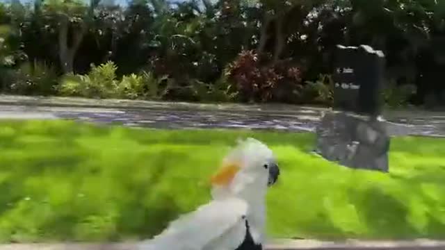 Extreme sport 4