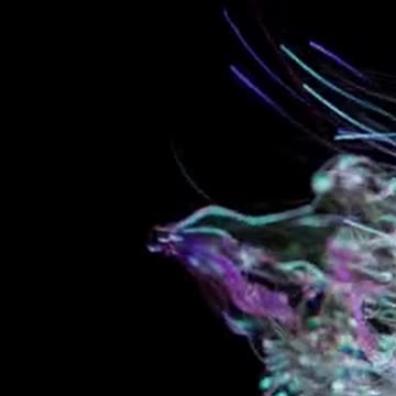 Get positive results