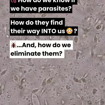 Parasites and Cancer