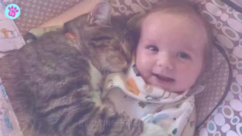 When your cat becomes your silent guardian Cat and Human Moments