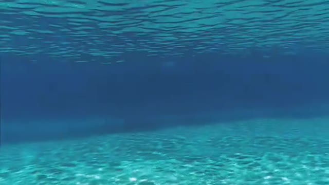 How beautiful is the ocean?