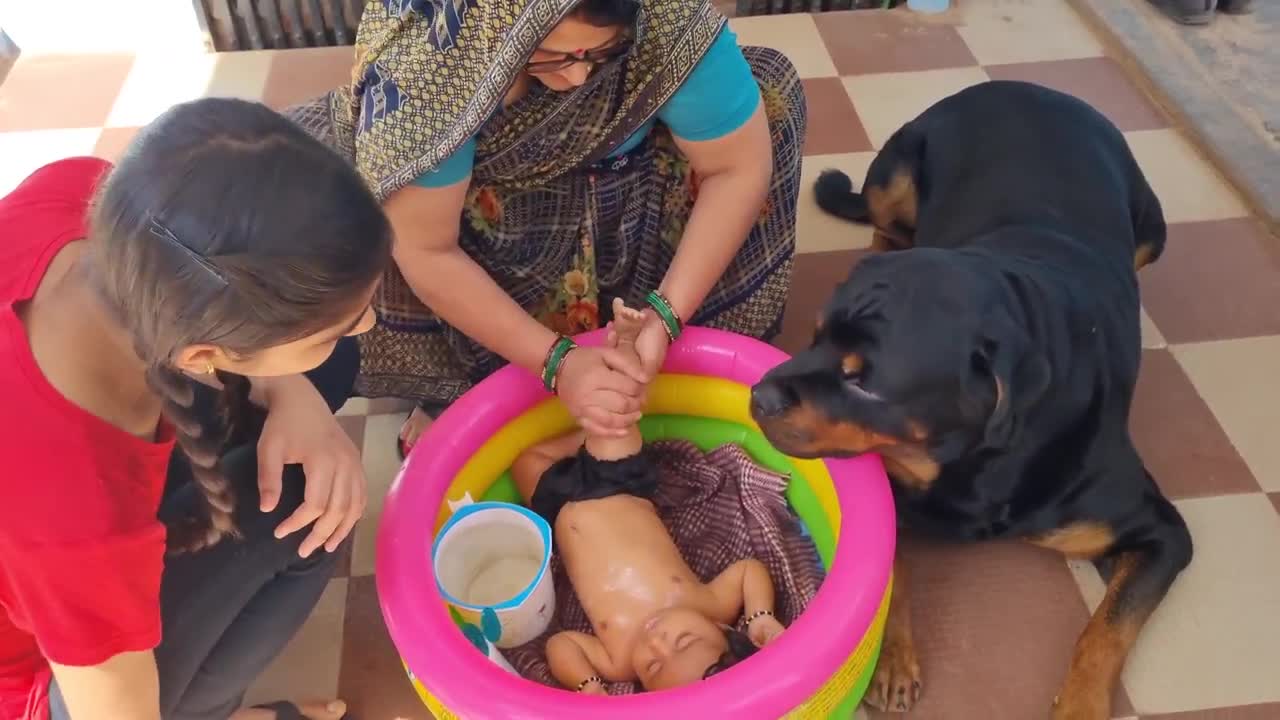 erry and Aaru are made for each other.Dog protecting baby