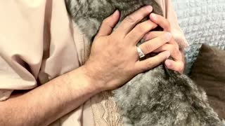 kiss my caT