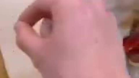 Angary dog said,don't play with me!funny