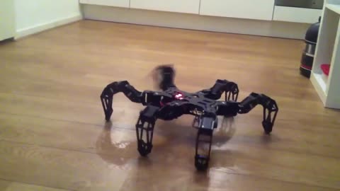 Hexapod 3DOF phoenix code