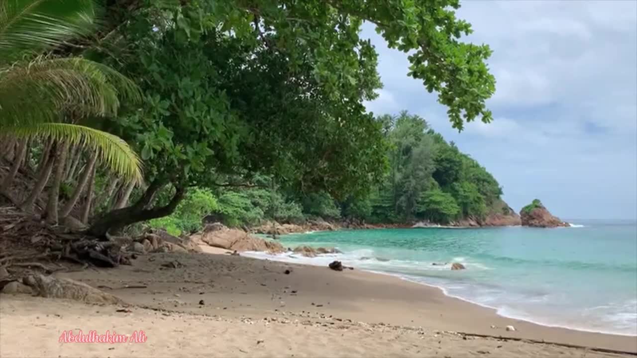 Relaxing Music | Sleeping, Meditation, Stress Relief | [831] ⭐️