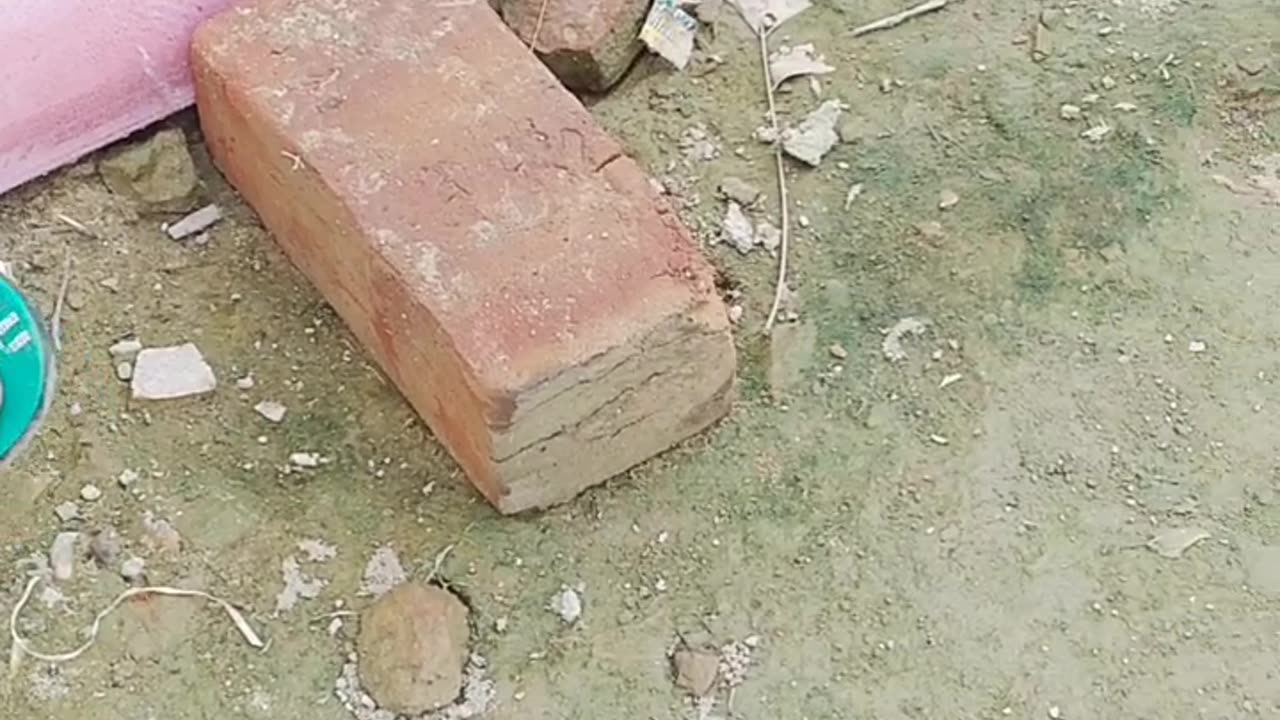 Do muh ka sap