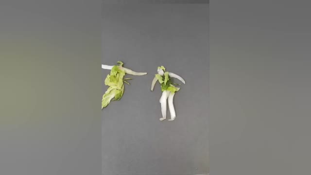 Stop-motion animation: Kungfu cabbage