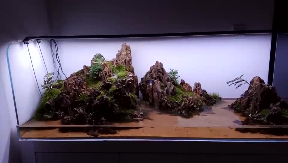 Landscape works in fish tanks(6)