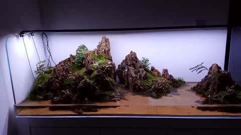 Landscape works in fish tanks（6）