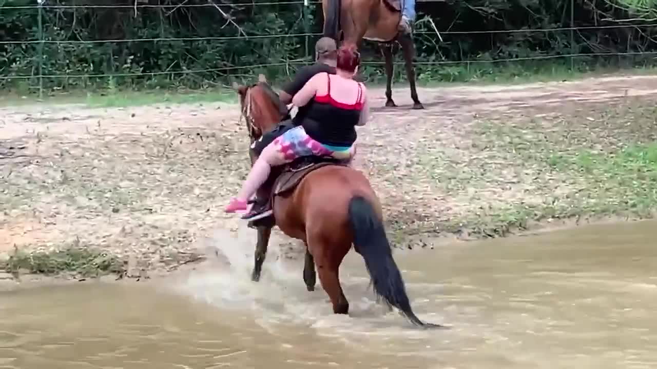 Funny video the horse can't take both