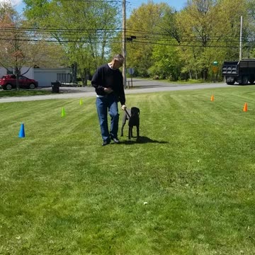 River Heel cue in slow motion