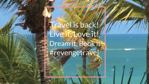 Travel is Back!