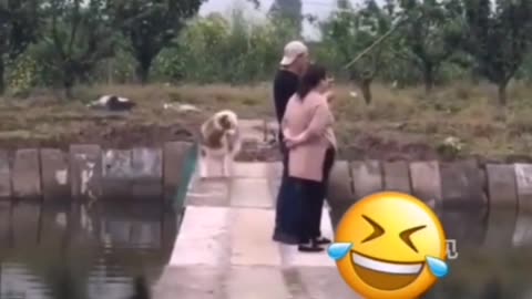 Funny animal Videos 2021😂