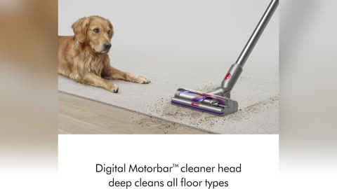 Dyson V15 Detect Plus Cordless Vacuum