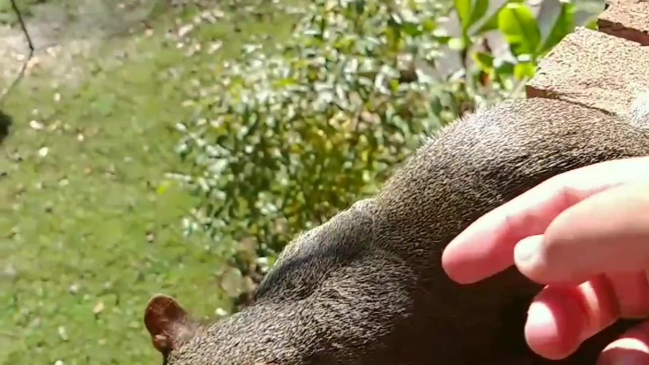 Guess who's waiting for me! Happy to see her today 🐿️🐾