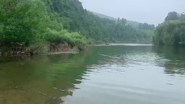 The big tree, the stream, the scenery in the mountains is so beautiful