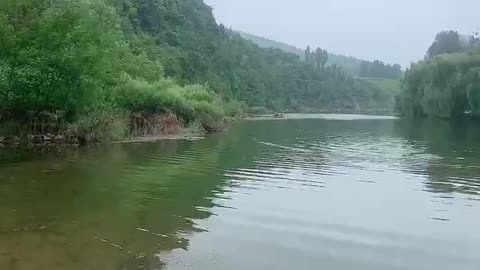 The big tree, the stream, the scenery in the mountains is so beautiful