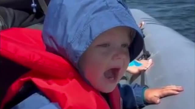 Whales miraculously show up after baby calls for them #viral